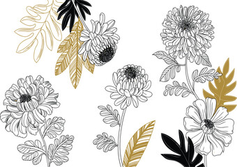 Elegant hand drawn chrysanthemum and zinnia floral sketches with gold and black decorative leaf accents.