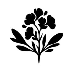 black and white Snapdragon flowers