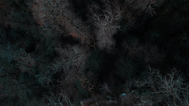 Mystic autumn aerial - forest and hills drone footage