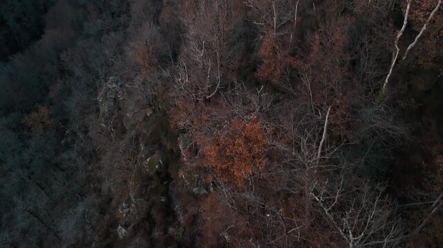 Mystic autumn aerial - forest and hills drone footage