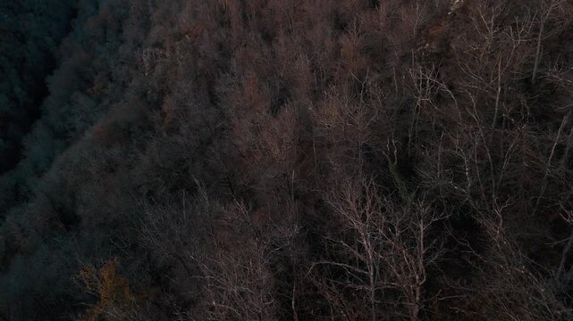Mystic autumn aerial - forest and hills drone footage