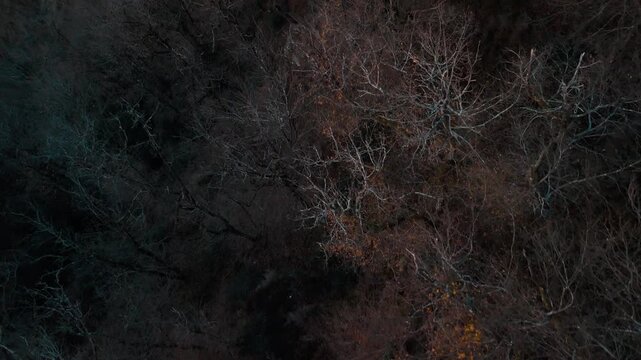 Mystic autumn aerial - forest and hills drone footage