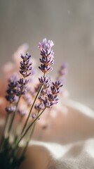 lavender backdrop with pink touches and soft bokeh glow on banner