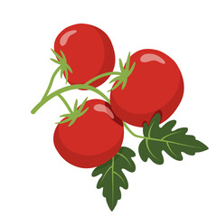 Red ripe tomatoes on green vine with leaves. Organic fresh vegetable for cooking and healthy diet concept. Flat vector design isolated on white background for grocery market.