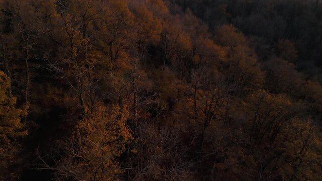 Mystic autumn aerial - forest and hills drone footage