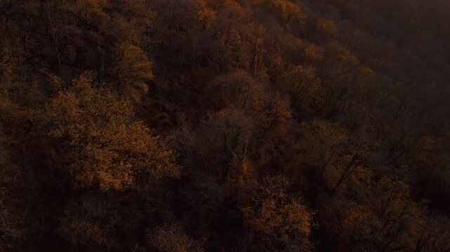 Mystic autumn aerial - forest and hills drone footage