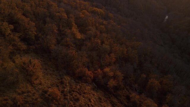 Mystic autumn aerial - forest and hills drone footage