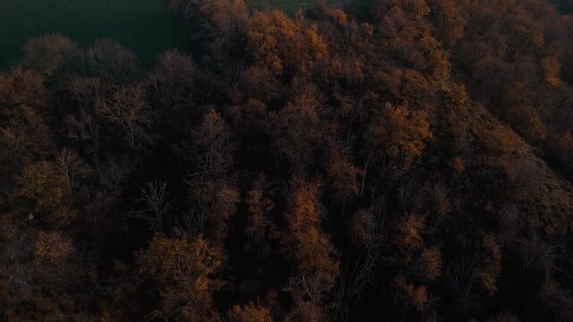 Mystic autumn aerial - forest and hills drone footage