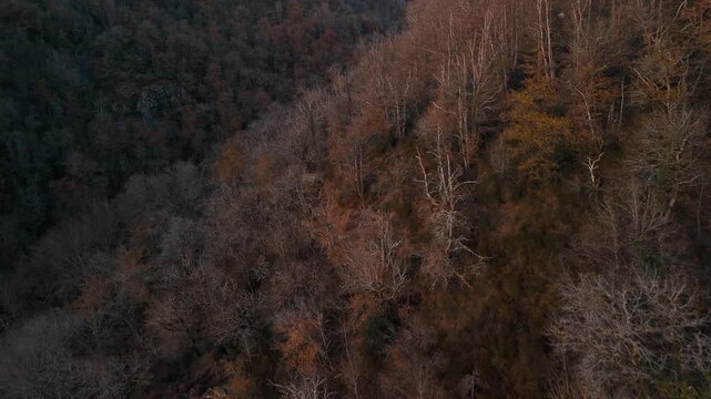Mystic autumn aerial - forest and hills drone footage