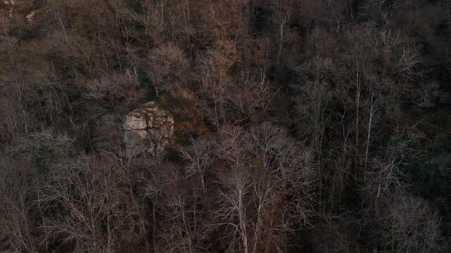 Mystic autumn aerial - forest and hills drone footage