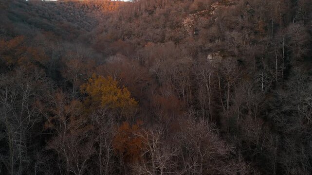 Mystic autumn aerial - forest and hills drone footage