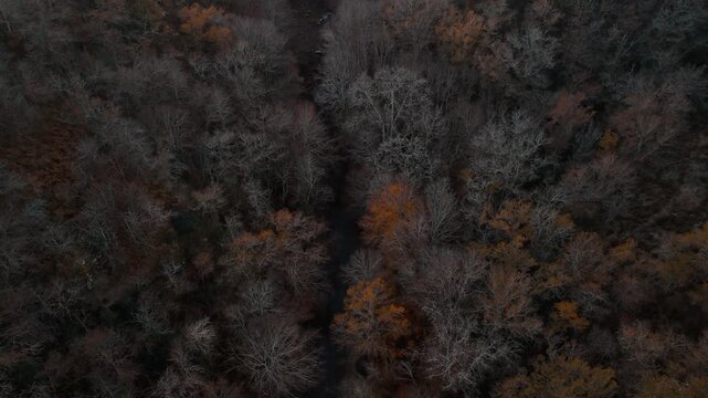 Mystic autumn aerial - forest and hills drone footage