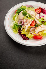 Salad chicken meat and vegetables tomato, green leaf lettuce, onion natural product tasty snack fresh delicious gourmet food background on the table rustic top view copy space keto and paleo diet
