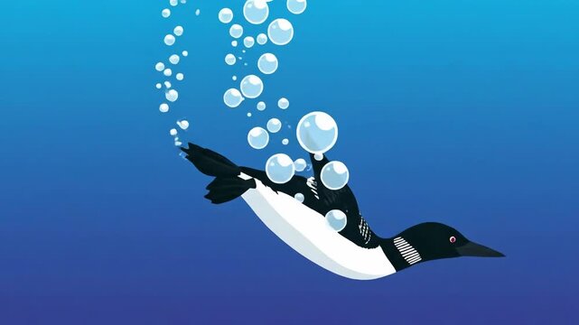 Animated Loons Sequence Diving Under Water And Creating Bubbles On Blue Background