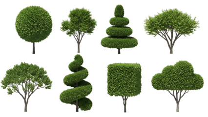 A collection of uniquely shaped topiary trees on transparent background