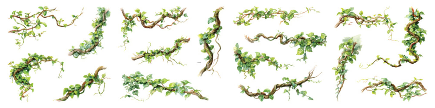 Twisted creeping vines plants wrapped trees branches watercolor set isolated on transparent background