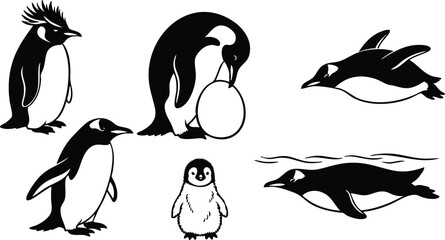 Obraz premium Silhouette vector close up group of penguins standing swimming and caring for egg and chick in varied poses side view and top diving action bold graphic