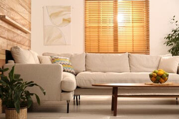 Stylish living room interior with modern comfortable sofa and plants