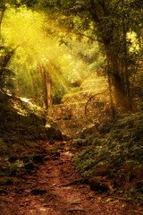 Yaxchilan is an ancient Maya in Mexico.