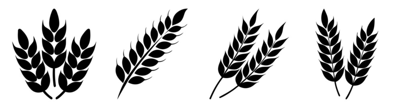 Collection of stylized black wheat and grain ear silhouettes representing agriculture and harvest Vector