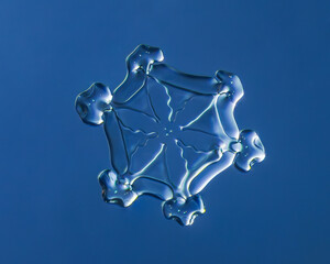 Natural snowflake crystal in blue background