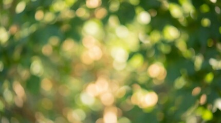 Obraz premium Abstract blurred green foliage with bright bokeh circles. Sunlight filtering through trees creates a warm summer mood. Perfect for nature backdrops or eco-friendly designs.