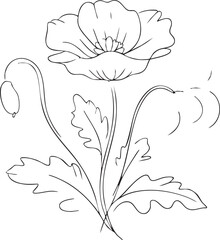 Black and white line of a poppy flower with leaves and buds