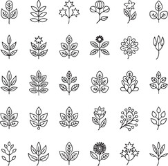 Collection of black and white botanical line of leaves and flowers 1