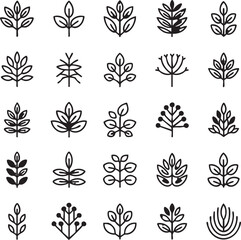 Collection of black and white leaf and plant botanical