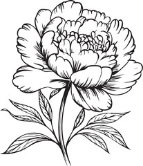 Detailed black and white of a flower with leaves petals
