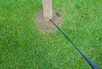 Gardener applying herbicide around the trunk of a tree