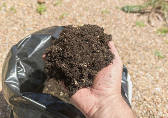 The gardener holds a handful of potting soil in his hand