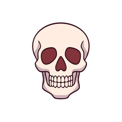 Fototapeta premium Cartoon Skull Illustration Anatomical Depiction Front View Halloween Themed Skull Image