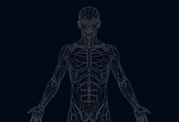 Intricate Wireframe Illustration of Human Anatomy Showcasing Detailed Skeletal and Musculature Systems Against a Dark Background