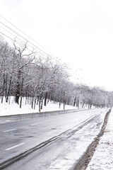 Empty road passing a park with trees covered in snow during winter