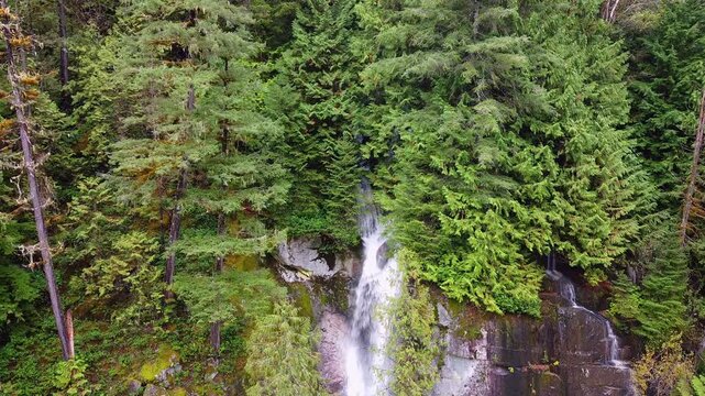 Small waterfall flowing out of lush Pacific Northwest Forest Day Aerial Drone cedar rocks