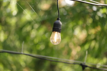 hanging light bulb © Maciek