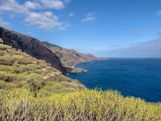 Landscape Scene on La Palma island