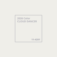 Cloud dancer color of the year background with a gray frame with color description