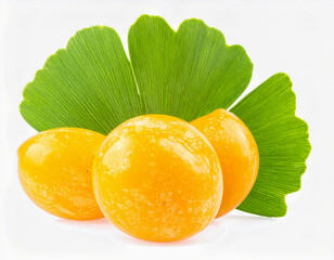 열매-은행-은행열매-은행알-은행나무 열매-은행잎-근접