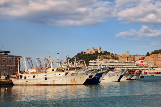 Ancona, Marche, Italy: view of the fishing port with boats moored in the bay and the cathedral on background.