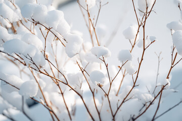 Obraz premium Snow Covered Branches in Winter Landscape