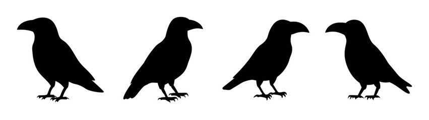 Four black bird silhouette vector graphic design illustration standing together isolated art image