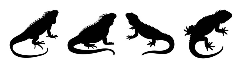 Silhouette of marine iguana reptiles standing in a row, wildlife animal vector illustration