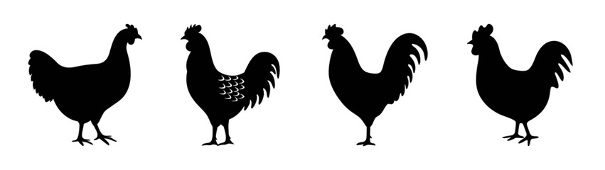 Silhouette rooster chicken hen farm animal poultry vector illustration graphic design clipart image