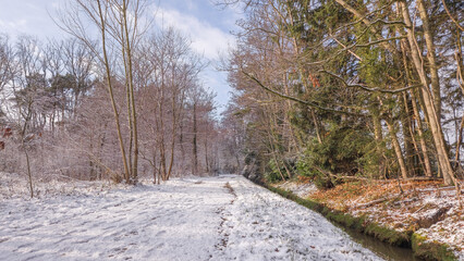A beautiful winter landscape in Belgium. An easy walking path covered in a layer of fresh snow. A stream runs along one side of the path. Trees line both sides. Cold temperature during winter in Belgi