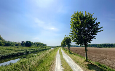 A beautiful and serene landscape showcasing a dirt road surrounded by lush trees alongside a canal and fertile fields