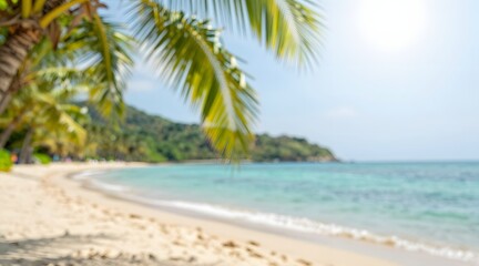 Fototapeta premium Tropical beach with palm trees and turquoise sea in a sunny day