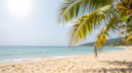 Blurred view of ocean beach and palm trees on bright day