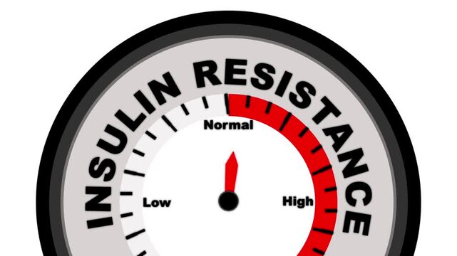 Insulin Resistance text or word shown with a barometer or tachometer-style gauge, representing varying levels of severity in the body&rsquo;s diminished response to insulin and its impact on metabolism